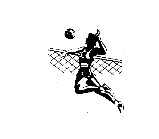 Volejbal - Sedemnásty krát na počesť sedemnásteho