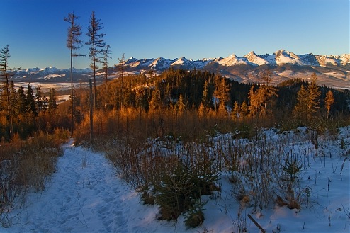 Šk Bodva Výstup na Kozí kameň.