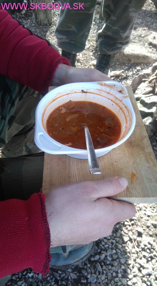 Fotogaléria Šk Bodva Chilli Husky test day