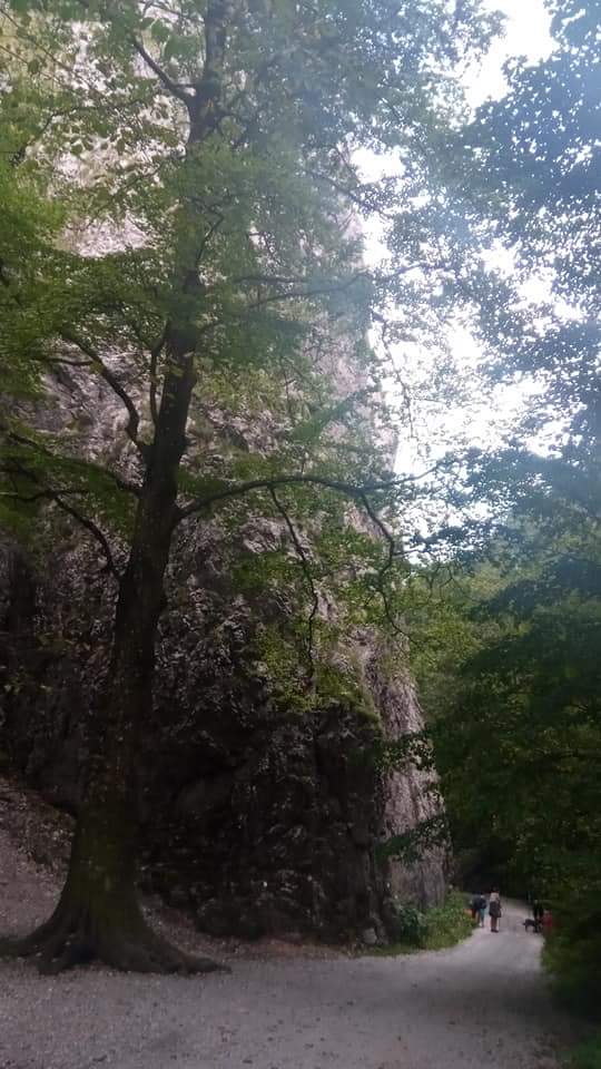 Šk Bodva Lezecký štvrtok v Zádieli