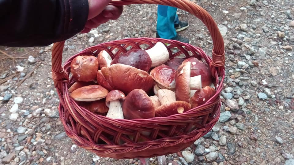 Šk Bodva Klubová hubačka #2