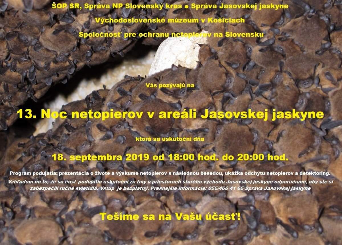 Šk Bodva Výlet na 13. noc netopierov