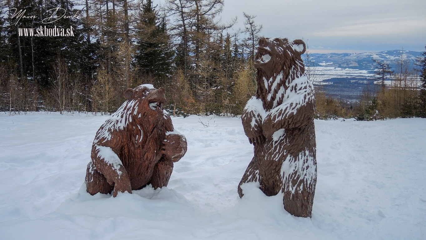 Fotogaléria Šk Bodva zimný výstup na Zbojnicku chatu