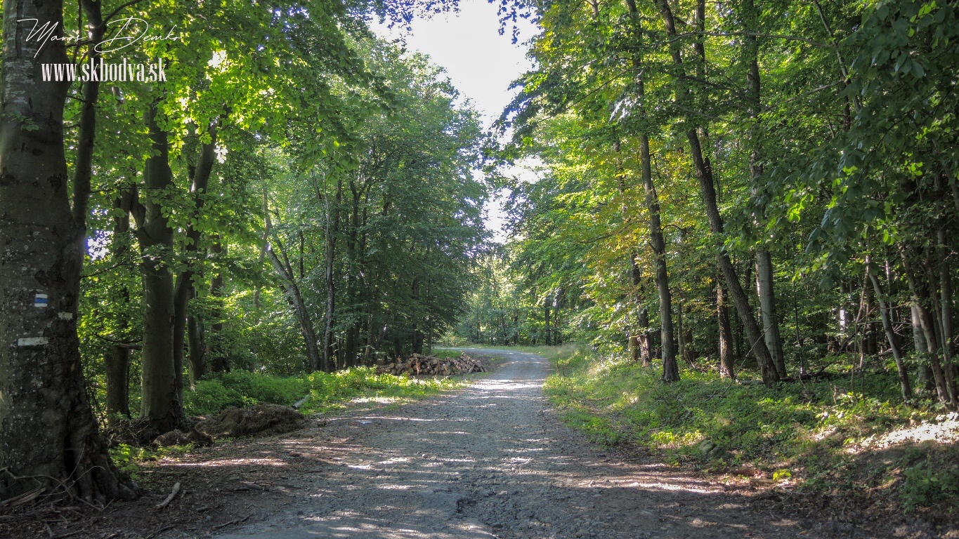 Fotogaléria Šk Bodva Výlet na Šimonku a Bodoň