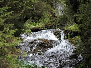ŠK Bodva roklinou Vyvieranie