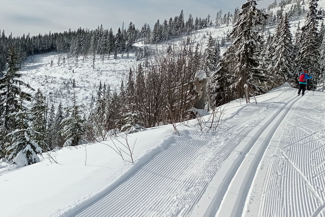 Šk Bodva bežkársky tréning Čertovica