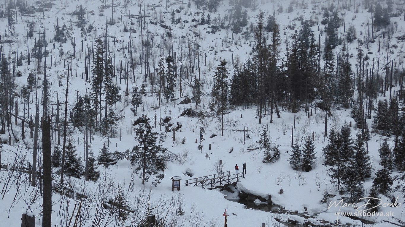 Fotogaléria Šk Bodva výstup na Téryho chatu
