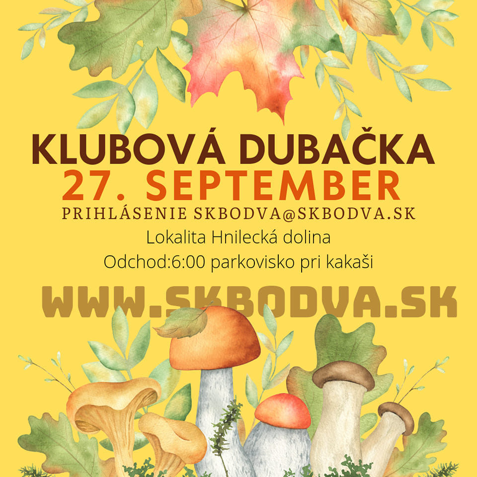 Šk Bodva klubová dubačka